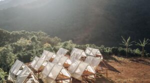 Drying Beds
